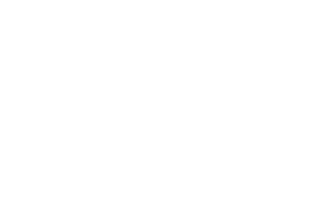 Nerin Logo